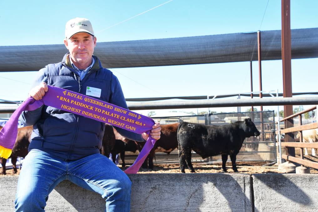 Andrew Raff of Raff Angus, King Island, Tasmania, formerly of Drillham, Qld, with one of his family's Angus steers which claimed first place in class 40A for Highest Individual Weight Gain in the RNA paddock to palate competition, boasting a daily weight gain of 2.79 kilograms. Picture: Clare Adcock 
