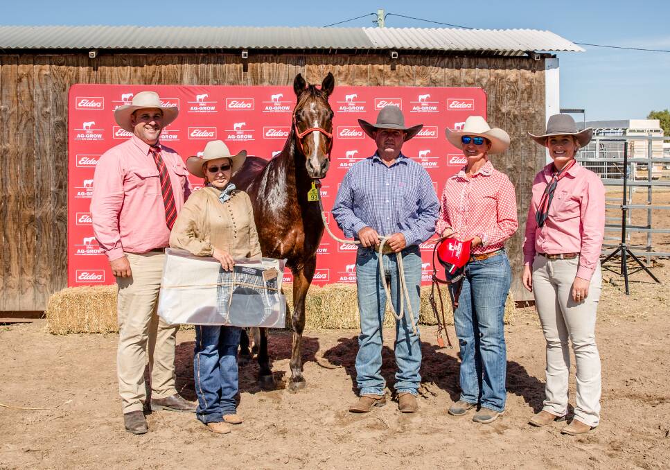 Top gelding, Hunter View Marshall, with vendor Trudy Berry, and Mick and Lenore Cole, who presented the horse for sale, and Elders studstocks' Anthony Ball and Eliza Connors. Picture supplied by Nicky Poole 