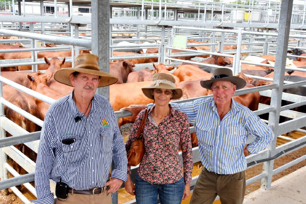 Emerald Sales: Livestock agent Greg Hardgrave of CRT Country Co, Blackwater, with vendors Trudy and Bruce Roberts of Callistemon Cattle Co, Springsure, pictured with their pen of Santa x Angus heifers which sold for $2620 per head. Photos: Ben Harden