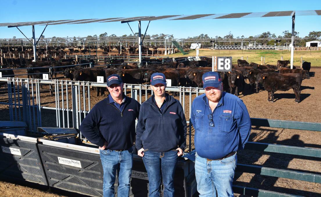 Stockyard Group's Lachie Hart, genetic improvement officer Sarah Duffield, and assistant feedlot manager Ben Schweitzer at their Kerwee feedlot on the Darling Downs. Pictures: Ben Harden 