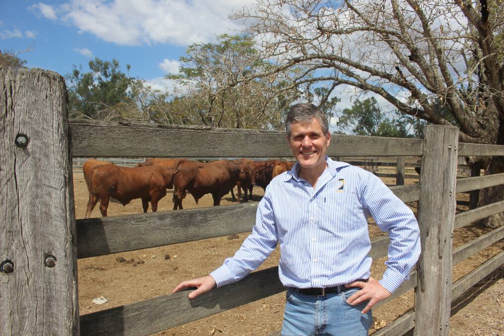 AgForce CEO Michael Guerin said the state government needed to take the agriculture sector more seriously and said any decrease in BQ funding was a mistake. Picture: Supplied,