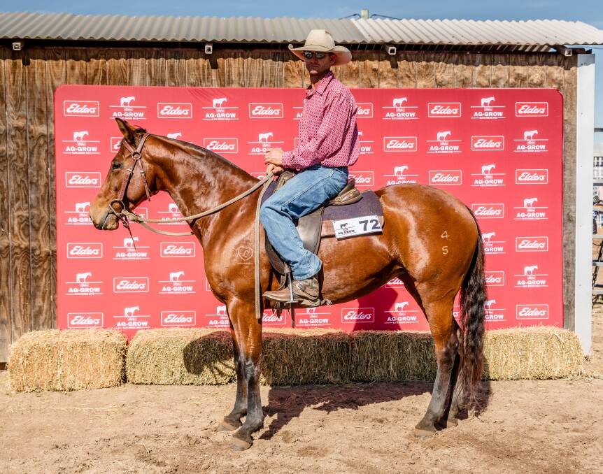 Top mare, Rio Rosa, was offered and presented by Peter Black of Horseview Grazing. Picture supplied by Nicky Poole 