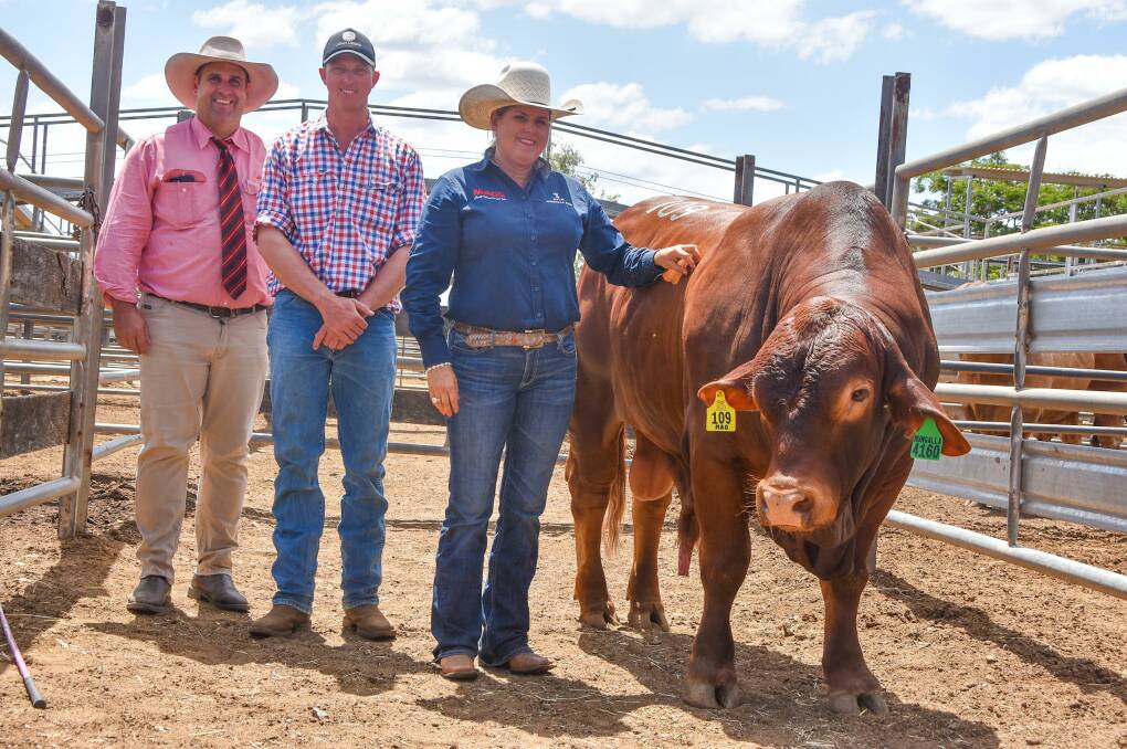 Mungalla 4160 sold for $42,500 and is pictured with Elders' Stud Stock agent Anthony Ball, buyer Jack Stewart-Moore of Telemon Droughtmasters, Dunluce Grazing, Hughenden, and vendor Kylie Grahman, Mungalla stud at Farnham, Taroom. Picture by Ben Harden 