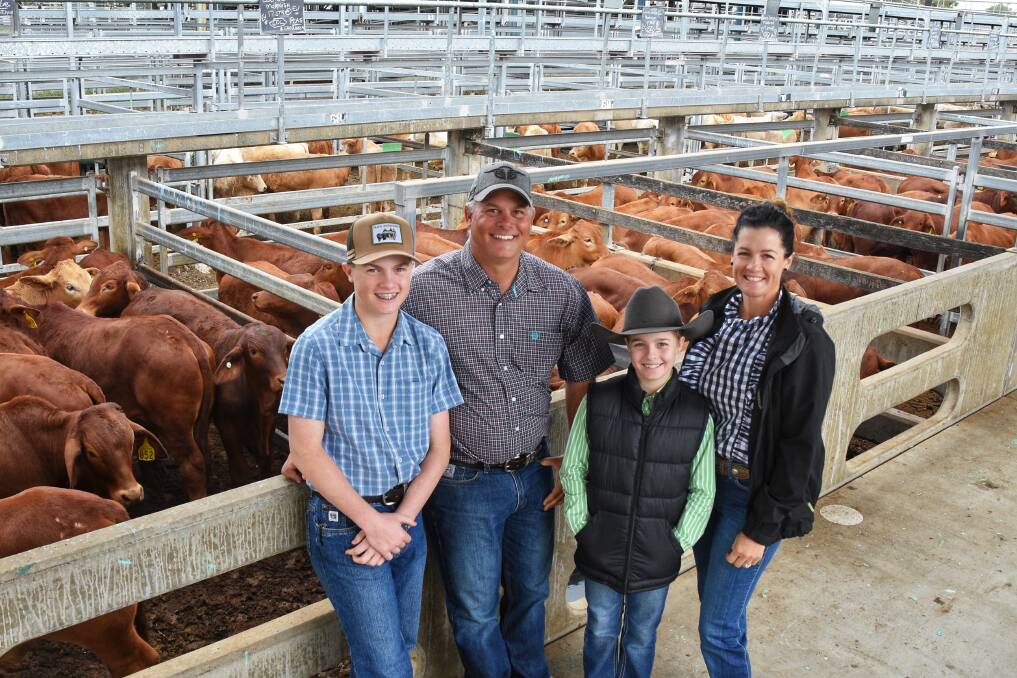 Vendors Allan and Abbey Lucas of Lucas Cattle Co, Morinish, with their son Jake and daughter Ava, with their lead Droughtmaster steer pen, which made 363.84c/kg, weighing 292 kg, and returned $1077/hd. Picture by Ben Harden 