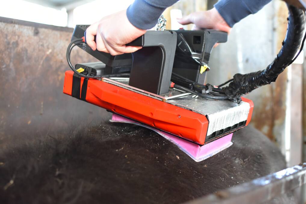 The MEQ Live device is purpose-built for animal scanning in a feedlot setting. Picture supplied