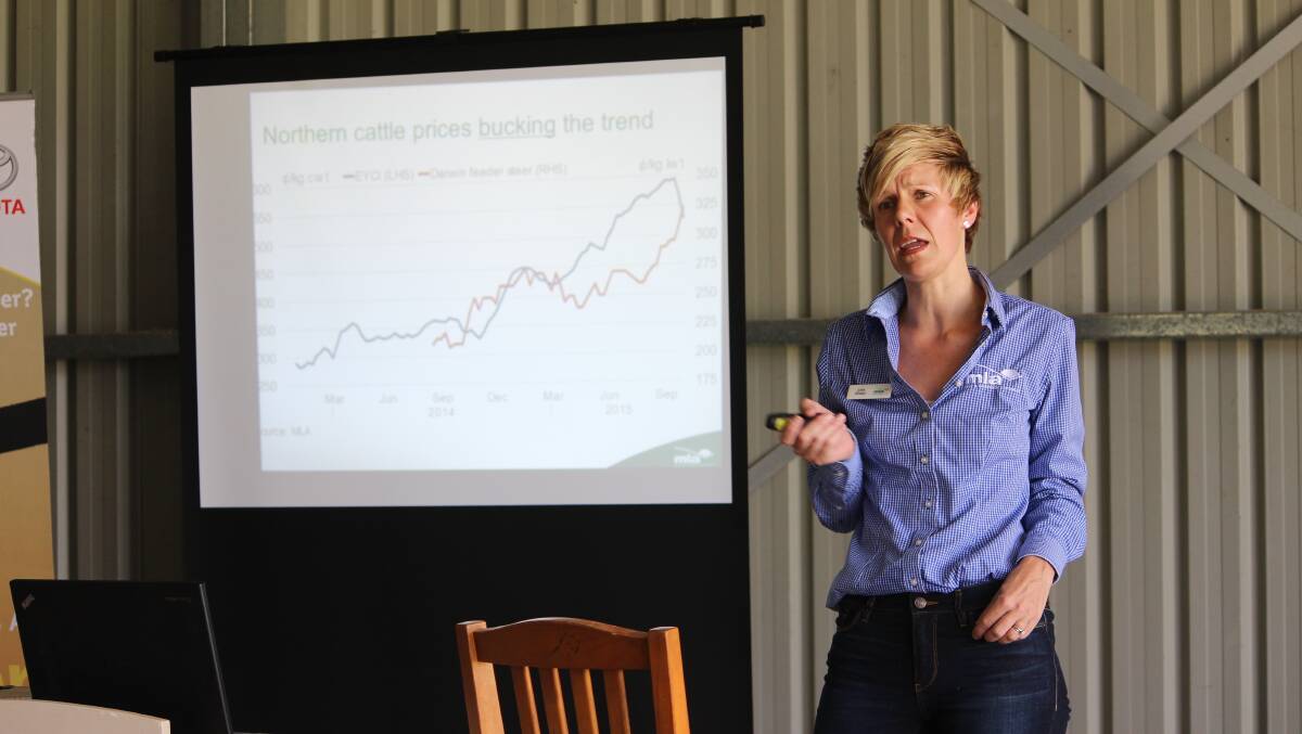 MLA central marketing general manager Lisa Sharp makes her presentation during an AgForce CQ beef tour. 