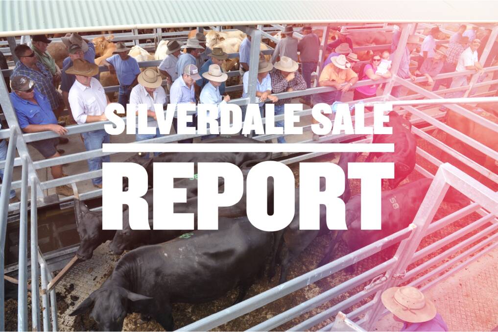 Silverdale Brangus cross steers $1575