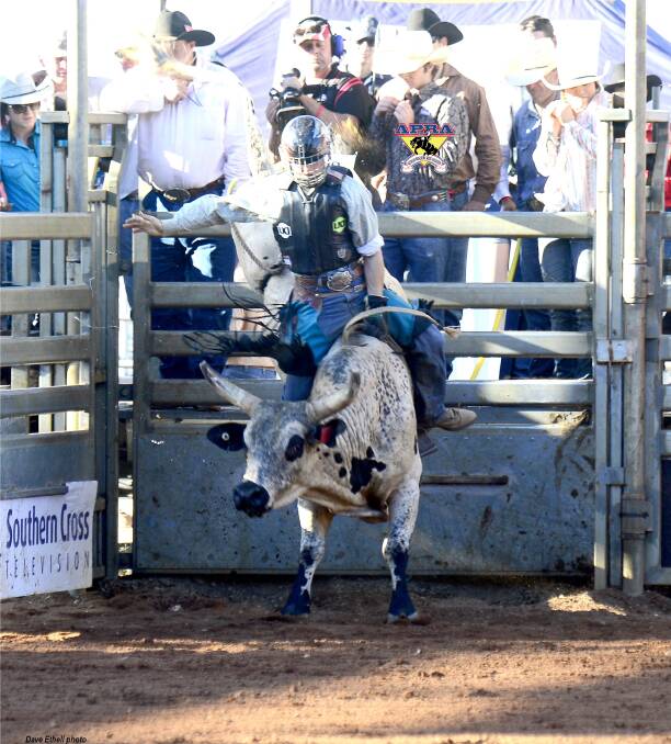 Proserpine cowboy: Roy Dunn will be one of the favourites for the Open Bull Ride at the two rodeos at Bowen River in North Queensland this weekend. - Picture: Dave Ethell – www.dephotos.com.au