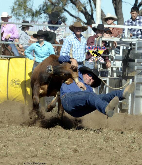 Nebo cowboy: Jarrod Deguara will be one of the riders to watch in Steer Wrestling- Picture: Dave Ethell – www.dephotos.com.au