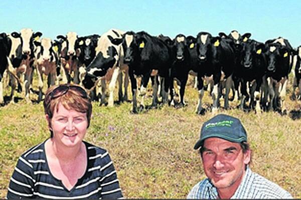 Scott and Victoria Menkins, Grand Dairies, Rosalie Plains, with their replacement heifers.