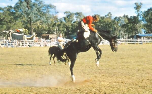 Bucking high, Augathella Rodeo in the 1960s.