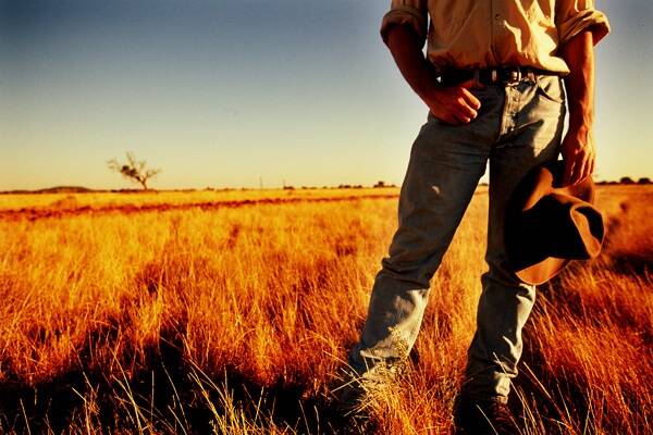 Flinders shire farmers urged to seek IDP aid