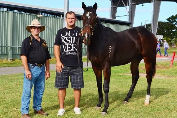 Kerrod Smyth and Tim Cook with the $40,000 colt that topped the 2013 Capricornia Yearling Sale.