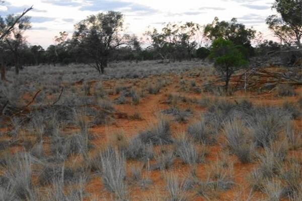 Only 28mm of rain has fallen so far this year at Cliffdale, Wyandra, in South West Queensland.