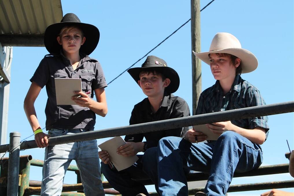 Jackson Hepner, Woodford, Coen Fry, Kilcoy, and Laine Smoth, Kilcoy, watch the cattle judging at the Kilcoy show.