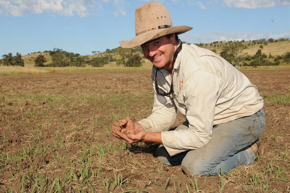 Donald Patch, Bunya Creek Angus, Bunya Mountains, planted Outback oats in mid-April. - Picture: SARAH COULTON.