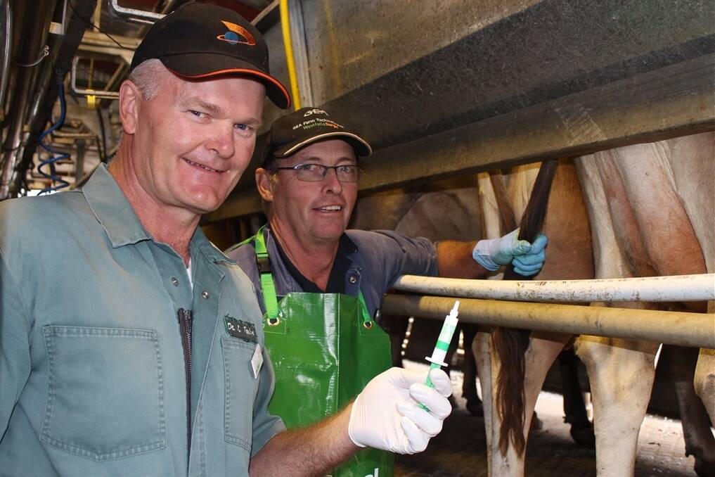 Zoetis veterinarian Dr Lee Taylor instructs Gary Wenzel, Garren Holsteins, Roadvale, on the correct way to administer Teatseal. 