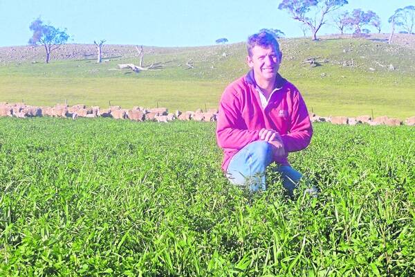 DIVERSITY DEDICATION: Moculta farmer Greg Koch says diversity is the key to running his Barossa Valley farm.