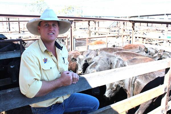 Eastern Rural livestock manager Peter Bird, Dalby.