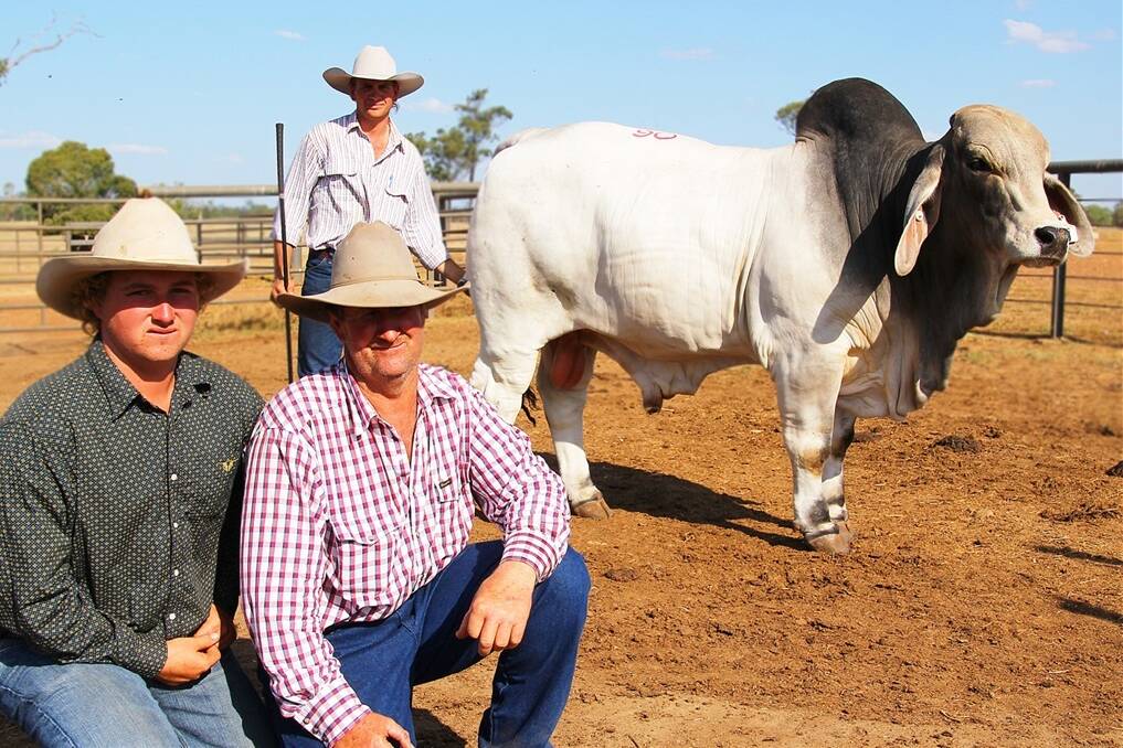 Gavin and Dillon Scott (at front), Rosetta Station, Collinsville, paid $32,000 for NCC Empire, a 32 month old, JDH Mr Elmo Manso (IMP US) son. They are pictured with NCC representative, Peter Chiesa.
