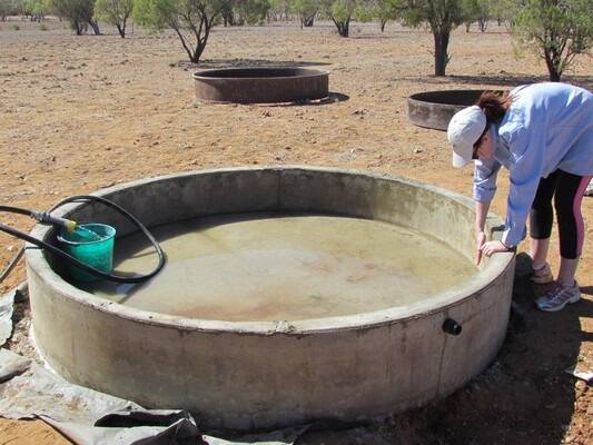 Drought diary: living without water