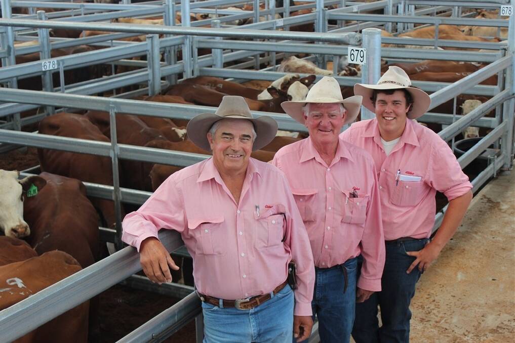 Peter Fleming, Elders, Goondiwindi, Joe Lehman, Elders, Dalby, and Will Loudon, Elders, Dalby, with a pen of Braford heifers from Ray Kidd, St George, which will be sold in the new facility.