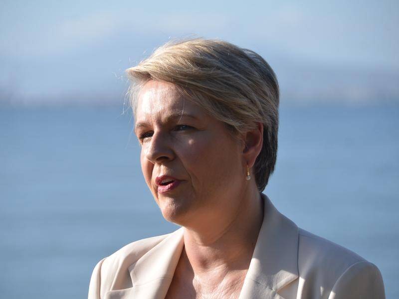 Federal Environment Minister Tanya Plibersek says she has cancelled two coal projects in Queensland. (Fraser Barton/AAP PHOTOS)