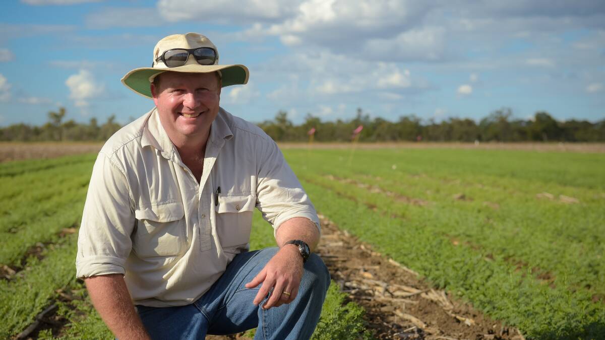 Department of Agriculture and Fisheries senior research agronomist Doug Sands, Emerald, at this year's trial.