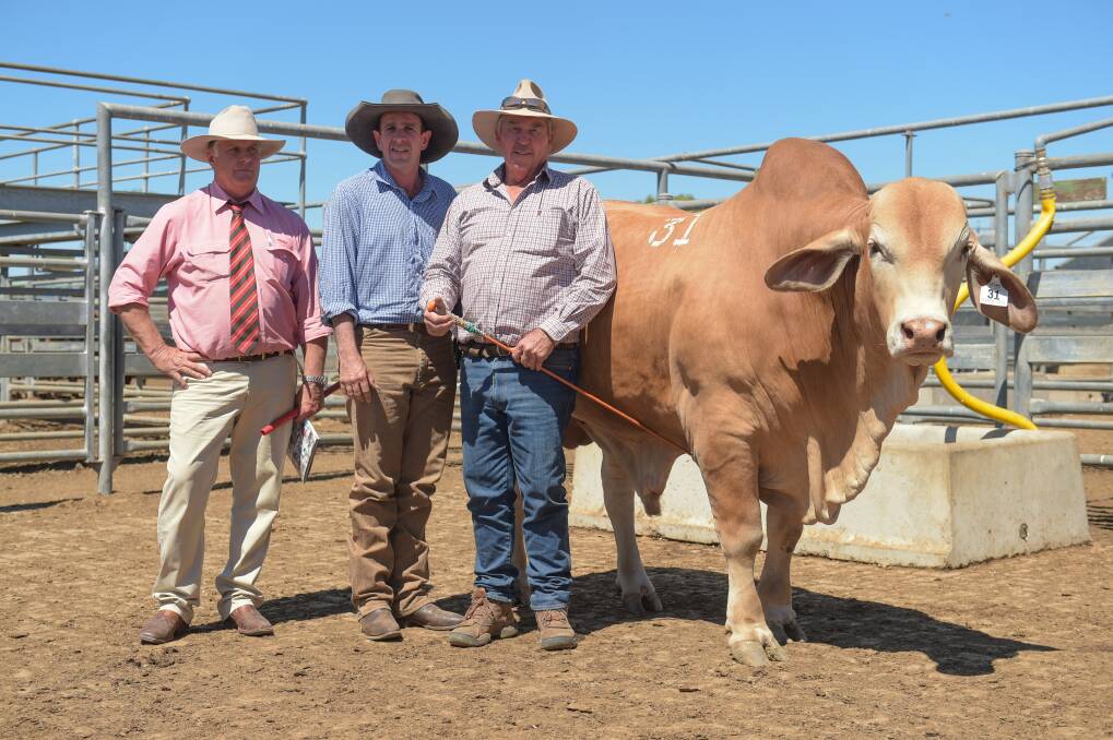 Top priced bull Wolfang Victory with Elders' Brian Wedemeyer, purchaser Rick Ford, Fossil Downs, Western Australia, and vendor Greg Edwards, Wolfang. 
