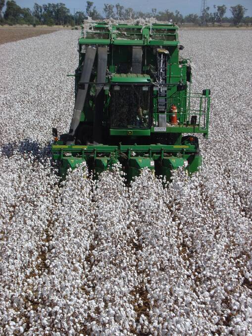 Cotton Australia's myBMP program aims to ensure cotton farms are operating at the highest safety standards.