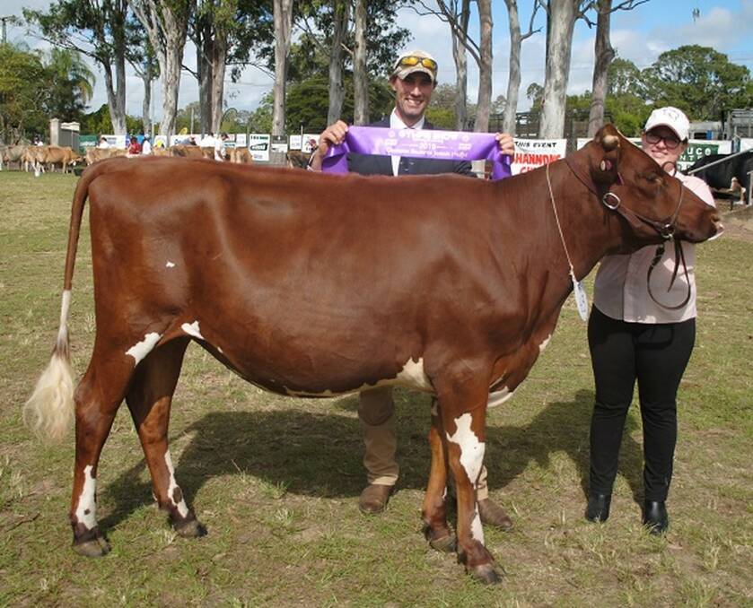 Jacklyn Noakes with Eacham Park Envy 71 winning Champion Juvenile Heifer at Gympie Show in 2019. 
