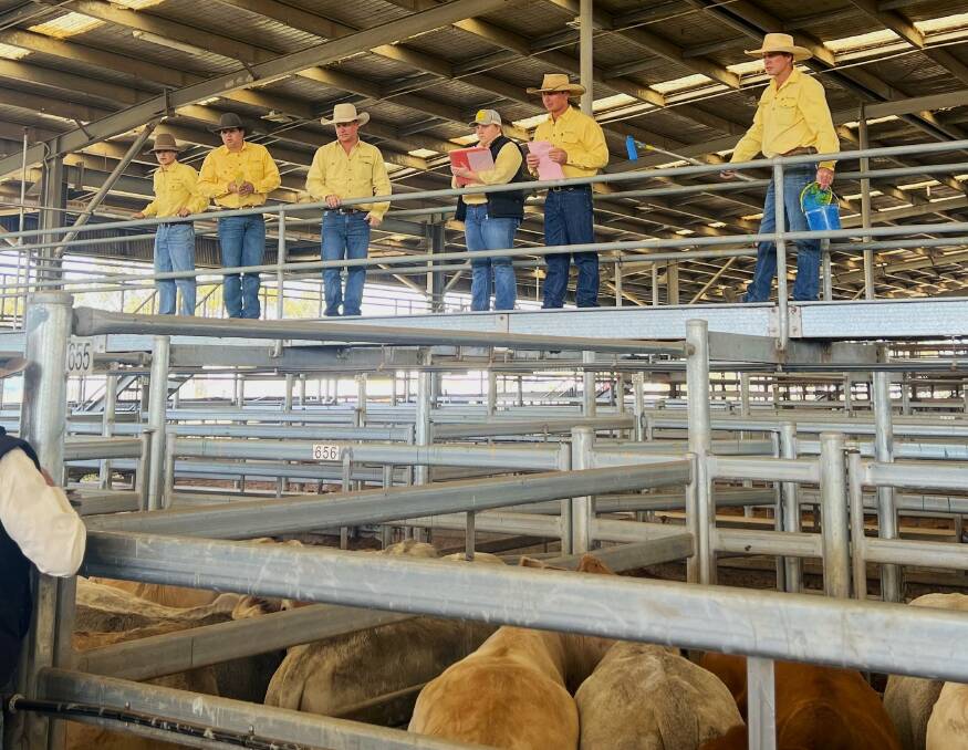 The Ray White Rural Dalby selling team in action at its feeder and weaner sale on Friday, Picture Amy Felsch. 