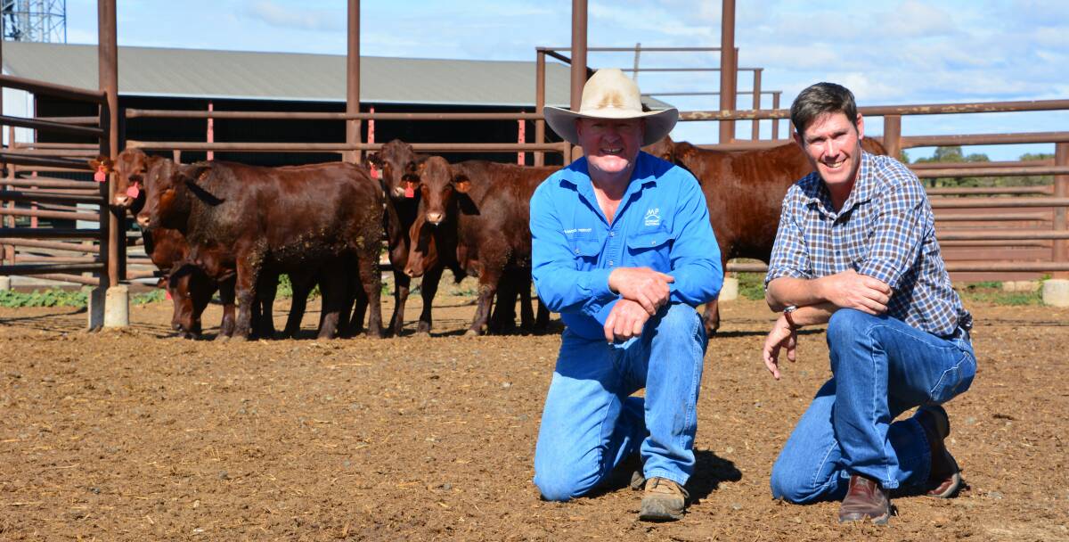Mick Green, Kurrawong Feedlot near Quinalow, and Peter Mahony, Gyranda Stud, Cracow, with the Win a Pen of Santa Gertrudis Steers which will be drawn on August 27. 