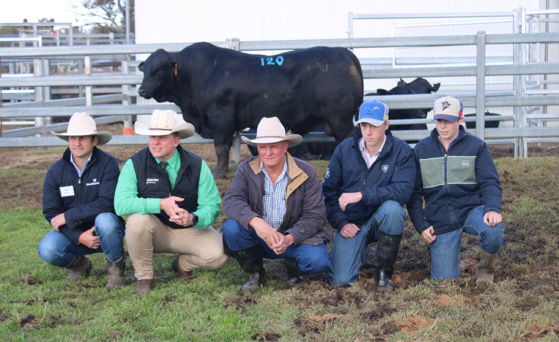 Palgrove Ribeye (P) sold for $74,000 and is with Ben Noller, Colby Ede, Nutrien, and the buyers Adrian Forrest and his sons Will and Jake.