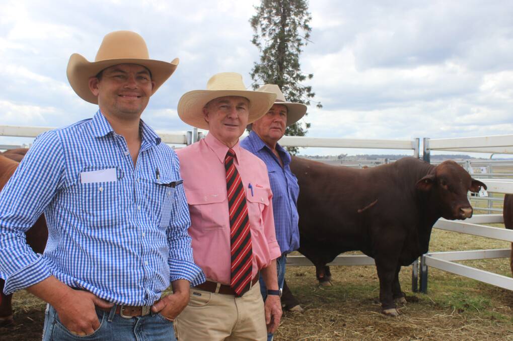 Luke Baker, Annabranch, Wandoan, Andrew Meara, Elders auctioneer, and vendor John McCarthy with Rosehill Q76 (ET) AI) who sold for $14,000.