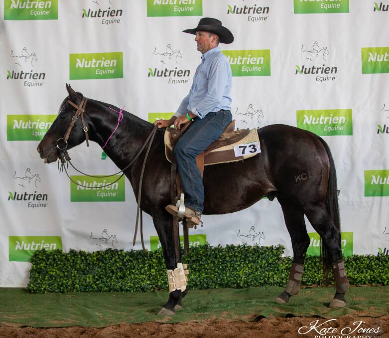Coomac Honductor, sold for $40,000 and was presented by Harvey Wakeford. 