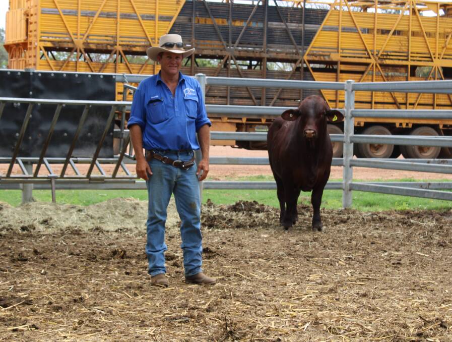 Forest Park stud manager Andrew Peterson, with Forest Park Onyz1848 (PP) who sold for the top price of $57,500. Picture Helen Walker.