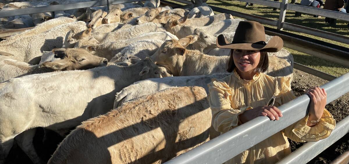 Maree with steers she sold at the weaner sale last June. 