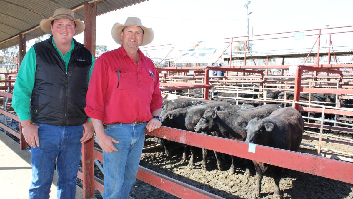 Brenden Wyatt, and Haydn Lamb, both of Wickham Cattle Company, Killarney, with their pen of champion Angus steers. Pictures Helen Walker 