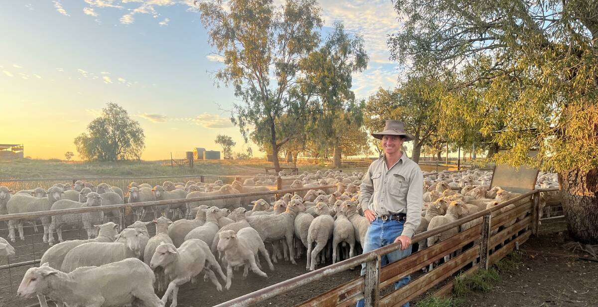 Chris Turnbull of Lansdowne at Tambo manages the largest Merino stud in the state, said they would dearly love to increase their sheep numbers from 35,000 to 40,000 head. Picture Dianne Turnbull.