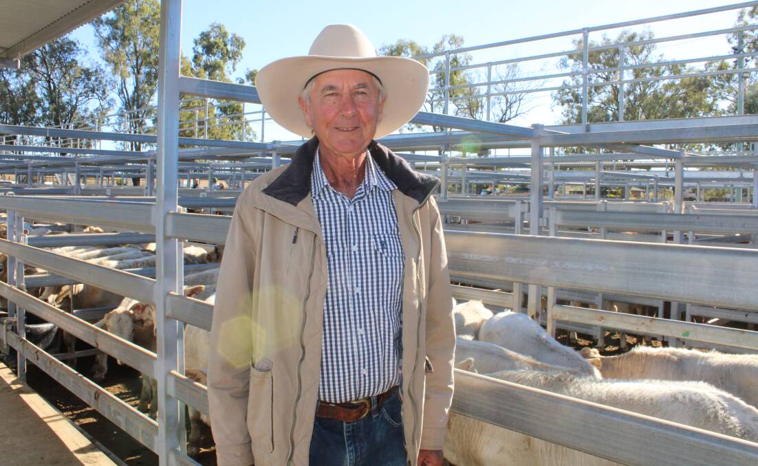 Les Rockemer, Gigoomgan, Broweena, offered 50 Charolais cross steers that sold for an average of 363c/kg weighing 282kg to return $1027/head. Picture Helen Walker.