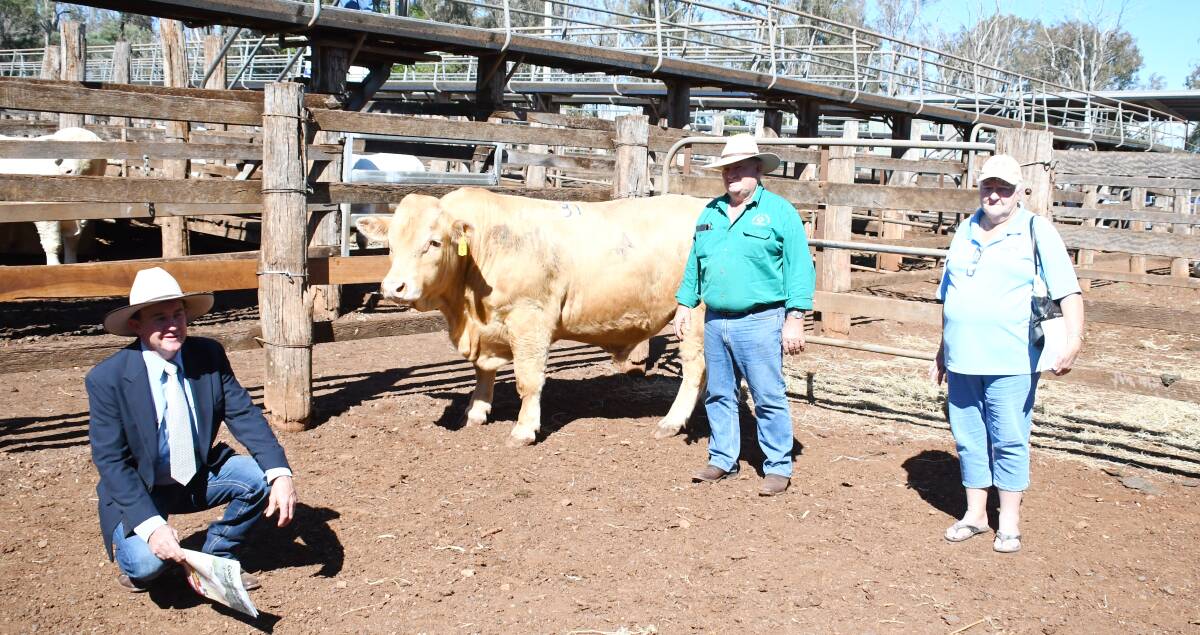 Agent James Bredhauer, vendor Greg Lee, Diamond L stud, and buyer Pam Dwyer, Dwyer Grazing, with the second-top priced bull Diamond L Proston (P/S) (R/F).
