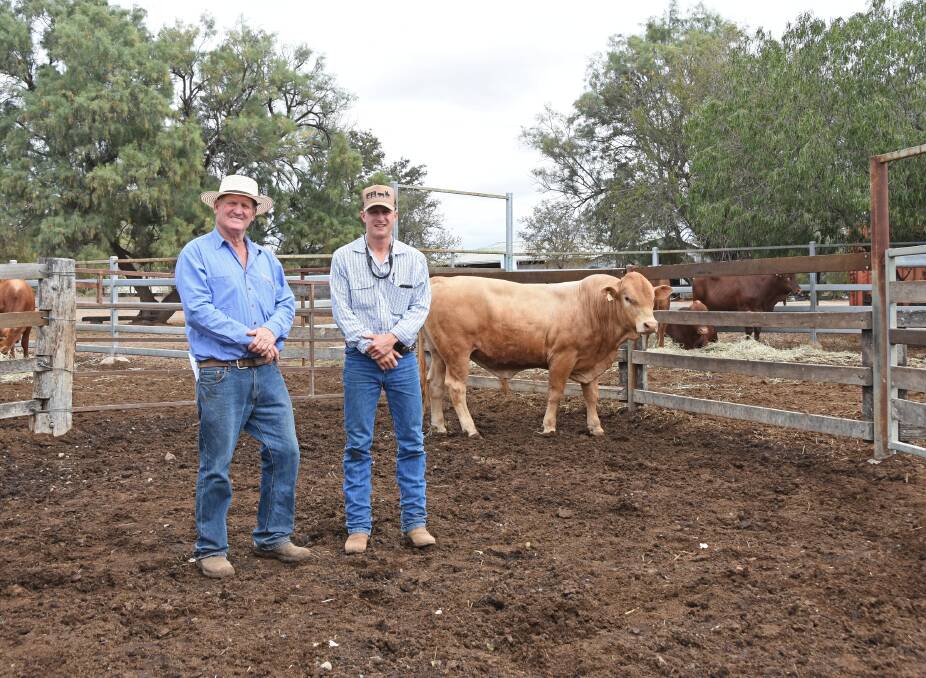 Swin Hudson, Tremere Pastoral, Moura, and Sam Wright, Mt Spencer Pastoral, Nebo, with one of the four Tremere bulls bound for the Wright family's operation. 