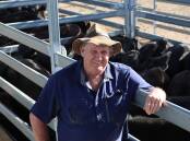 Bob Vaughan with a line of Brangus weaner steers on account of RK and M Vaughan, Booyal. The line of 147 made 390.2c/kg or $1081. Picture: Burnett Livestock and Realty 