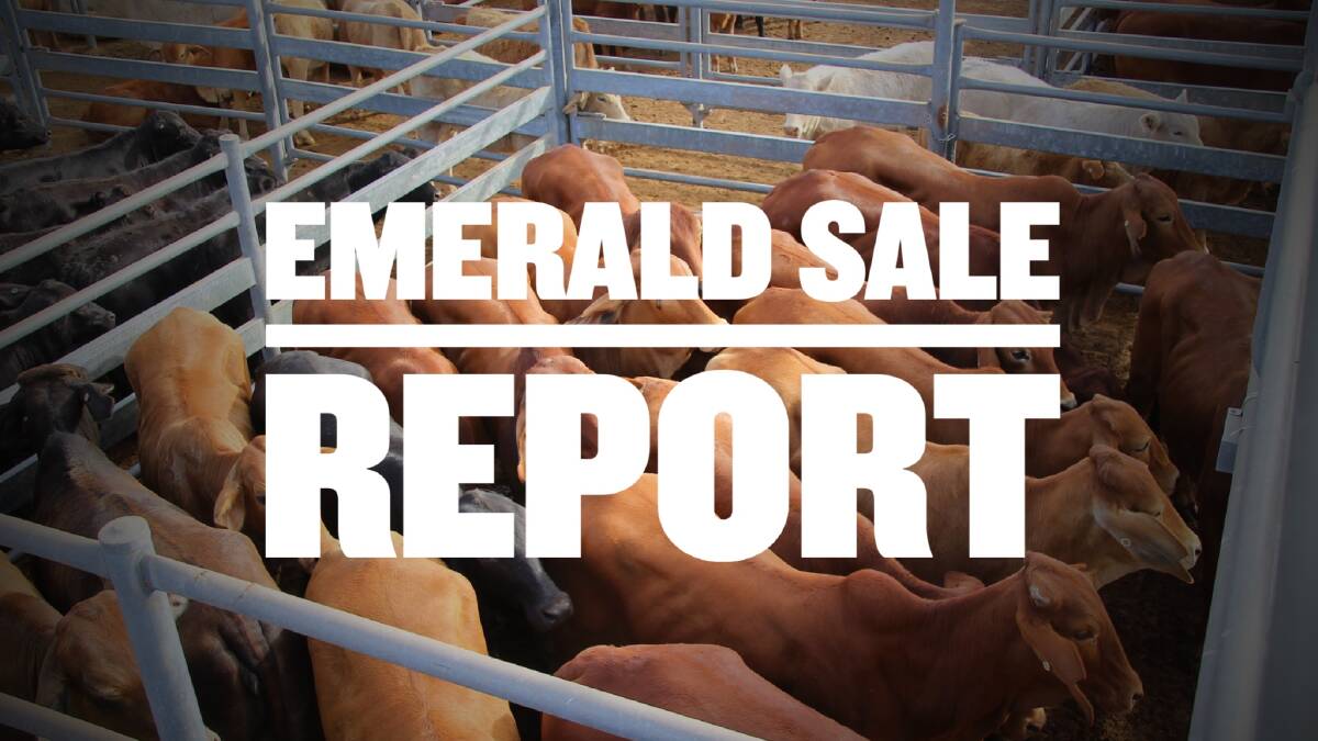 Numbers back considerably at Emerald sale