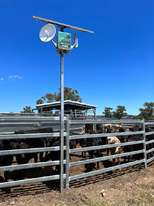 The camera on-farm. Picture: Land Watch Australia 