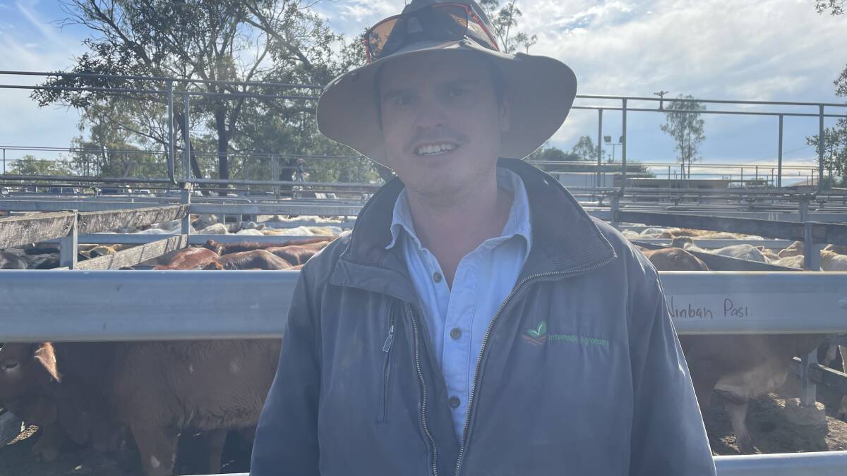 Nik Fritz, Boonah, at the Toogoolawah weaner sale. Picture: Kelly Mason 