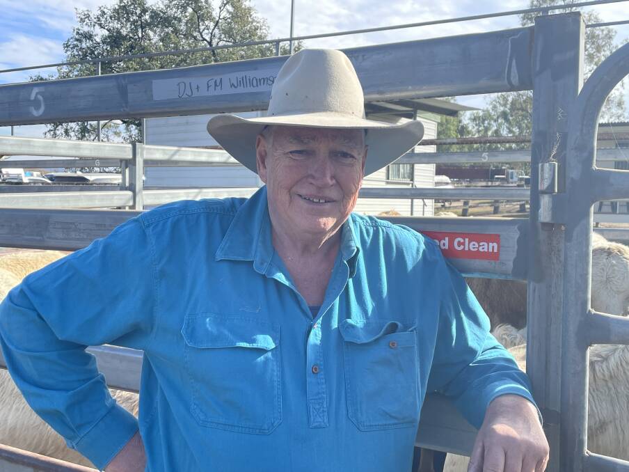 Ashley Schefe, Crows Nest, was at the Toogoolawah weaner sale on Friday. Picture: Kelly Mason 