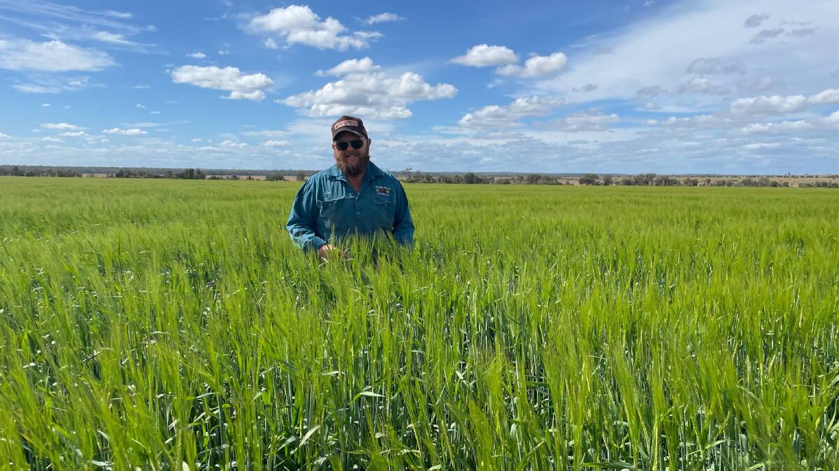 Central Queensland cattleman and farmer Kurt Mayne is enjoying a good season. Pictures: Supplied 