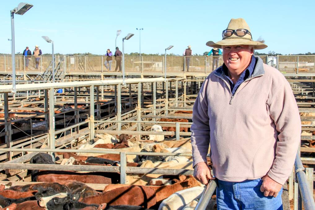 John McEwan, Wyoming, Roma sold 84 cross bred steers for 328c/kg at 430kg to return $1415/hd. 